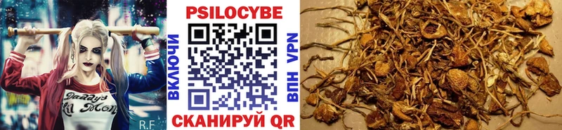Псилоцибиновые грибы Magic Shrooms  купить закладку  Подпорожье 